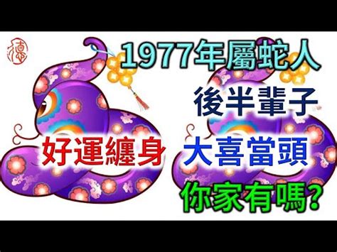 1977年屬蛇是什麼命